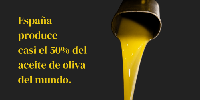España primer productor de aceite