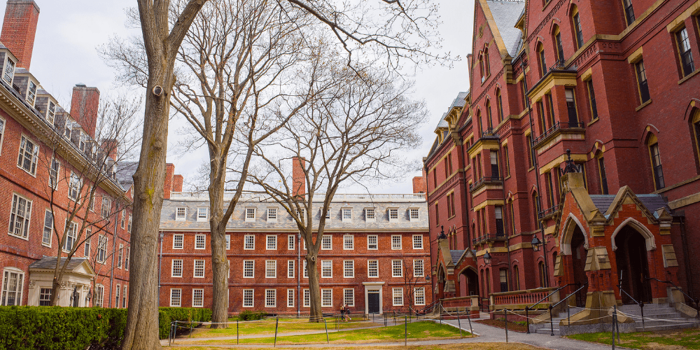 Universidad de Harvard